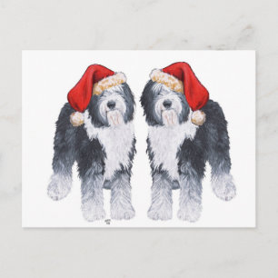 Cartes Pour Fêtes Annuelles Chapeau de Père Noël avec Old English Sheepdog