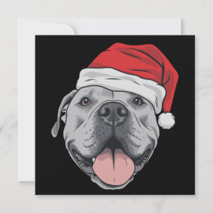 Cartes Pour Fêtes Annuelles Chapeau de Père Noël Pitbull Pit Noël Xmas Animale
