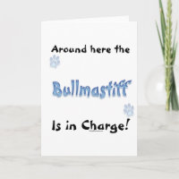 Chargement Bullmastiff