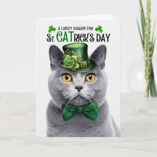 Cartes Pour Fêtes Annuelles Chartreux Chat Gris St CATrick's Day Lucky Charm