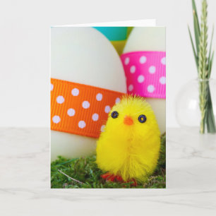 Cartes Pour Fêtes Annuelles chasse aux oeufs de pâques de poulet