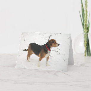 Cartes Pour Fêtes Annuelles Chasse de chien de beagle dans le tonnelier de