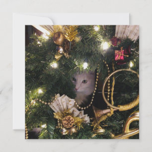 Cartes Pour Fêtes Annuelles Chat à bouffée blanche dans la couronne de Noël