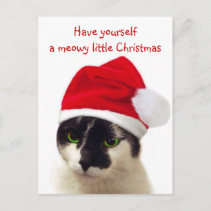 Cartes Pour Fêtes Annuelles Chat avec Casquette Père Noël