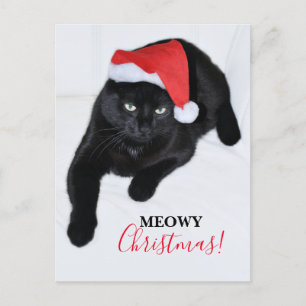 Cartes Pour Fêtes Annuelles Chat avec le chapeau rouge de Père Noël
