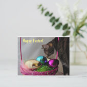 Cartes Pour Fêtes Annuelles Chat avec panier de Pâques (Debout devant)