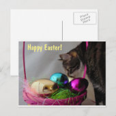 Cartes Pour Fêtes Annuelles Chat avec panier de Pâques (Devant / Derrière)