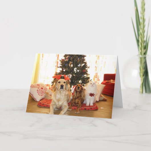 Cartes Pour Fêtes Annuelles Chat blanc de Noël avec chien | Arbre de Noël (Devant)