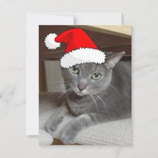 Cartes Pour Fêtes Annuelles Chat bleu russe de Noël (Devant)