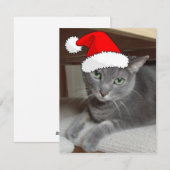 Cartes Pour Fêtes Annuelles Chat bleu russe de Noël (Devant / Derrière)