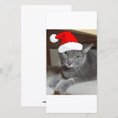 Cartes Pour Fêtes Annuelles Chat bleu russe de Noël (Devant / Derrière)