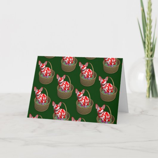 Cartes Pour Fêtes Annuelles Chat Bunny de Pâques (Devant)