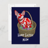 Cartes Pour Fêtes Annuelles Chat Bunny de Pâques (Devant / Derrière)