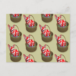 Cartes Pour Fêtes Annuelles Chat Bunny de Pâques