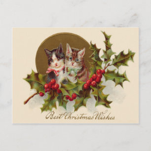Cartes Pour Fêtes Annuelles Chat Chaton Houx à fruits rouges