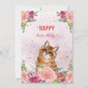 Cartes Pour Fêtes Annuelles Chat Chaton Joyeux Anniversaire Drôle Fête des Mèr