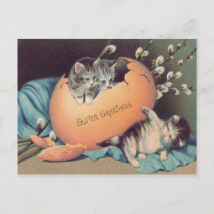 Cartes Pour Fêtes Annuelles Chat Chaton Pâques Oeuf Coloré Coton