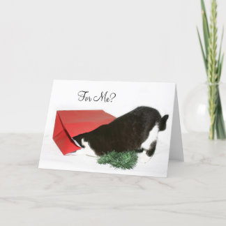 Cartes Pour Fêtes Annuelles Chat curieux de Noël