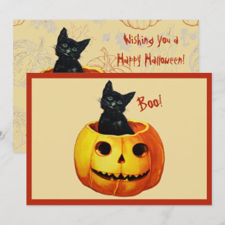 Cartes Pour Fêtes Annuelles Chat dans citrouille