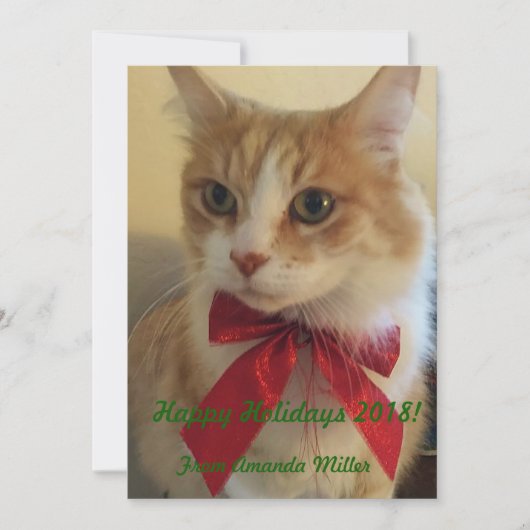 Cartes Pour Fêtes Annuelles Chat de gingembre avec ruban rouge Noël (Devant)