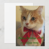 Cartes Pour Fêtes Annuelles Chat de gingembre avec ruban rouge Noël (Devant / Derrière)