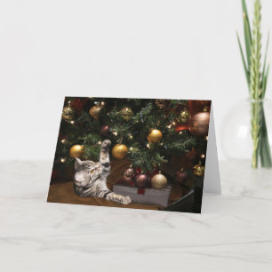 Cartes Pour Fêtes Annuelles chat de Noël