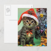Cartes Pour Fêtes Annuelles Chat de Noël (Devant / Derrière)
