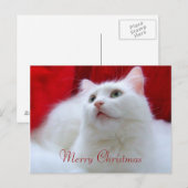 Cartes Pour Fêtes Annuelles Chat de Noël (Devant / Derrière)
