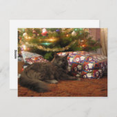 Cartes Pour Fêtes Annuelles Chat de Noël (Devant / Derrière)