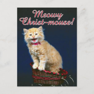 Cartes Pour Fêtes Annuelles Chat de Noël