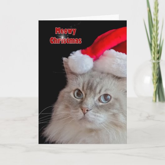 Cartes Pour Fêtes Annuelles Chat de Noël (Devant)