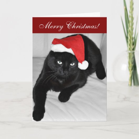 Cartes Pour Fêtes Annuelles Chat de Noël 4 (Devant)