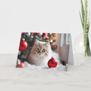 Cartes Pour Fêtes Annuelles Chat de Noël Avec Ornement Rouge