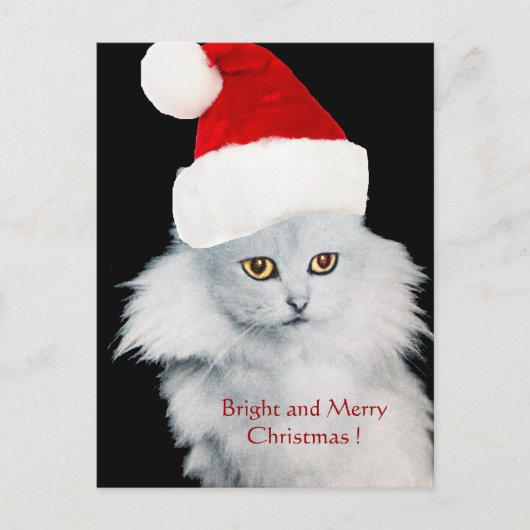 CARTES POUR FÊTES ANNUELLES CHAT DE NOËL BLANC AVEC CASQUETTE SANTA CLAUS (Devant)