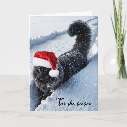 Cartes Pour Fêtes Annuelles Chat De Noël En Neige Profonde (Devant)