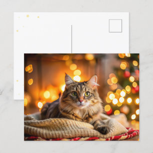 Cartes Pour Fêtes Annuelles Chat de Noël mignon