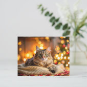 Cartes Pour Fêtes Annuelles Chat de Noël mignon (Debout devant)