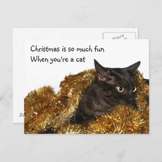 Cartes Pour Fêtes Annuelles Chat de Noël noir (Devant / Derrière)