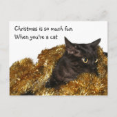 Cartes Pour Fêtes Annuelles Chat de Noël noir (Devant)