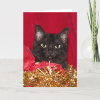 Cartes Pour Fêtes Annuelles Chat de Noël noir