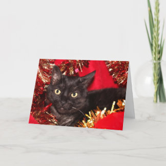 Cartes Pour Fêtes Annuelles Chat de Noël noir