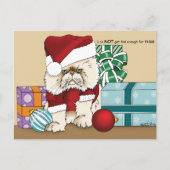 Cartes Pour Fêtes Annuelles Chat de Noël Perse (Devant)