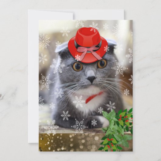 Cartes Pour Fêtes Annuelles Chat de Noël Scottish Fold (Devant)