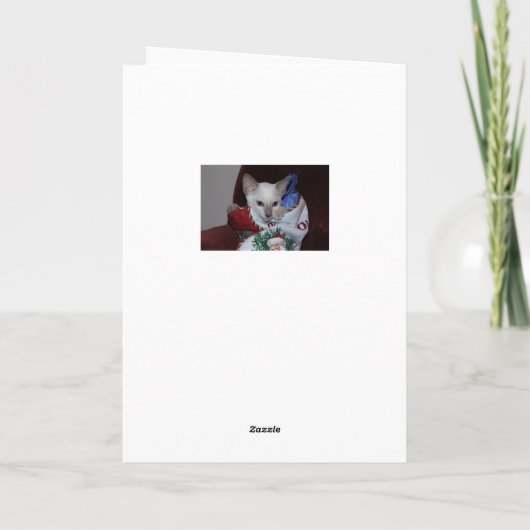 Cartes Pour Fêtes Annuelles Chat de Noël - Siamese Lilac Point en stock (Dos)