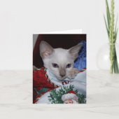 Cartes Pour Fêtes Annuelles Chat de Noël - Siamese Lilac Point en stock (Devant)