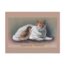 Chat de Pâques et poussin