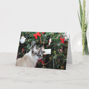 Cartes Pour Fêtes Annuelles Chat de Siamese et arbre de Noël