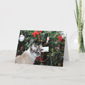 Cartes Pour Fêtes Annuelles Chat de Siamese et arbre de Noël