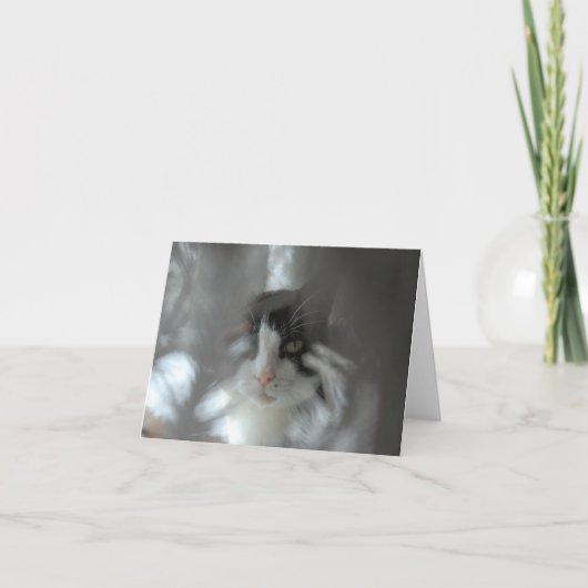 Cartes Pour Fêtes Annuelles Chat de smoking par des branches (Devant)