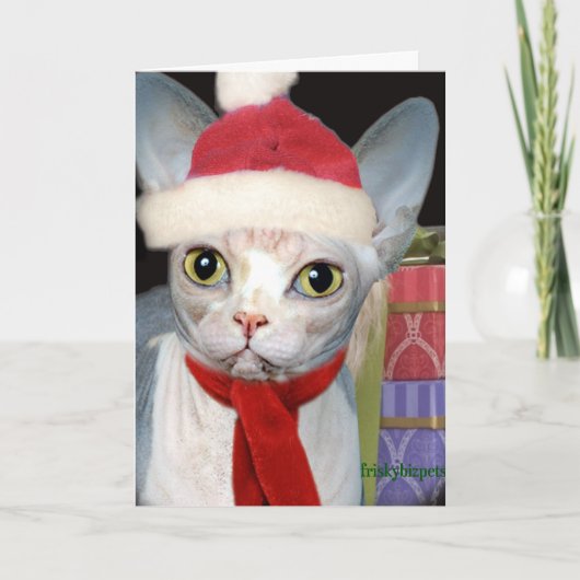 Cartes Pour Fêtes Annuelles Chat de Sphynx Père Noël (Devant)